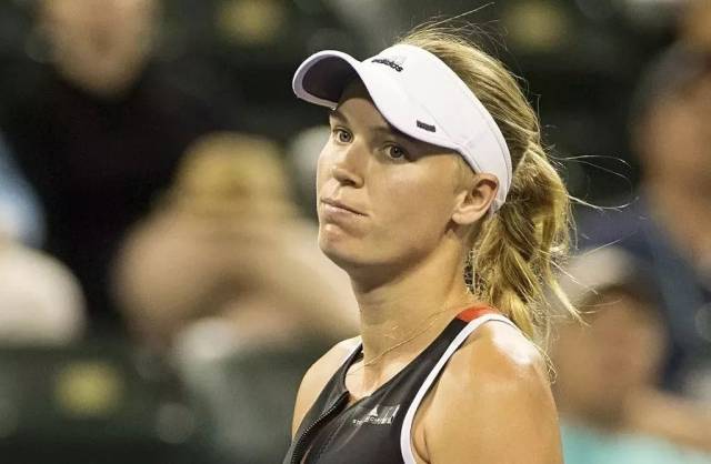 的世界里 的世界里